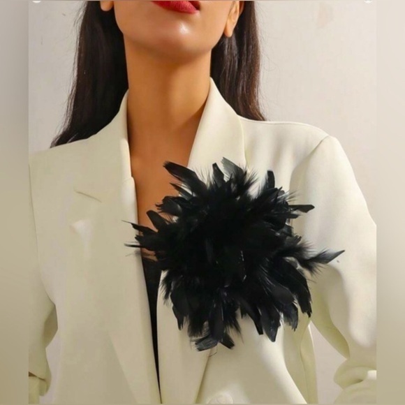 ✨NEW Elegant Black Feather Brooch - Picture 1 of 4